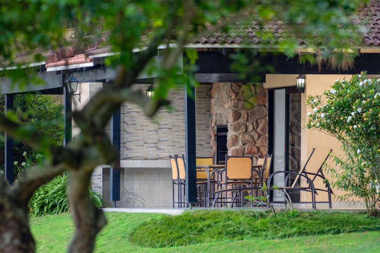 Pine Resort